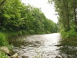 Желивка возле устья весной 2008 года.