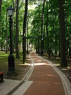 Аллея парка