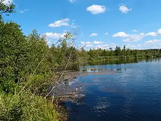 Озеро летом 2015 года