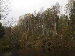 Крутой берег реки Черная на территории Гладышевского Заказника , неподалёку от базы отдыха " Маяк" в пос. Молодёжное.