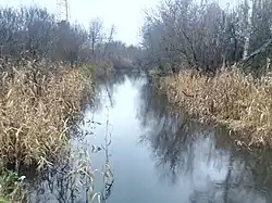 Вид на среднее течение Болотницы около одноимённой деревни осенью 2019 года