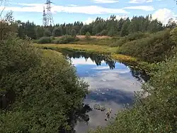 Вид с автомобильного моста