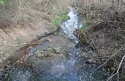 Река в селе Бузовка