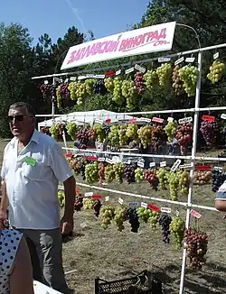 Стенд виноградарей