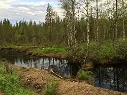 Вид по течению