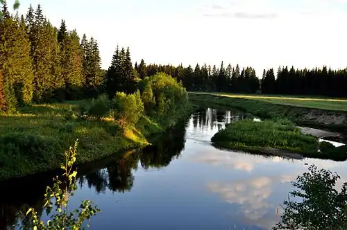 Среднее течение реки около Урдомы в 2012 году