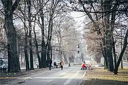 Весенний проспект