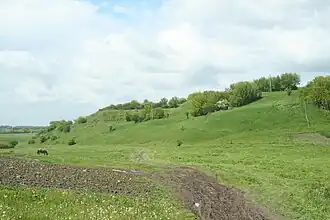 Вид на городище с юго-запада