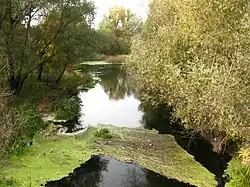 Нижнее течение реки Волчья в городе Волчанске