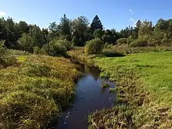 Вид против течения в пос. Элисенваара