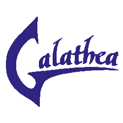 Изображение логотипа