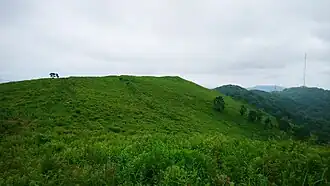 Высочайшая горная вершина полуострова (376,9 м)