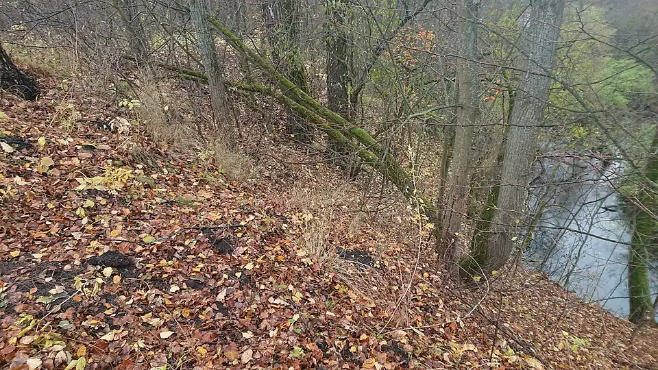 Западный край площадки