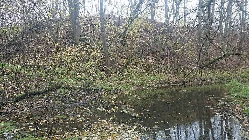 Излучина реки Петрицы