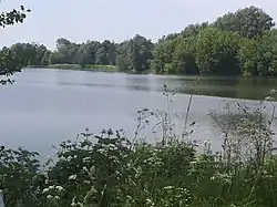 пруд на реке