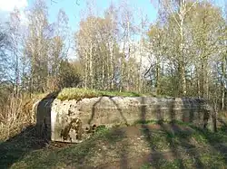 ДОТ в парке «Сестрорецкие дубки», входивший в систему КаУРа