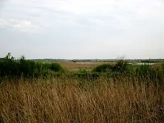 Дитвянское болото