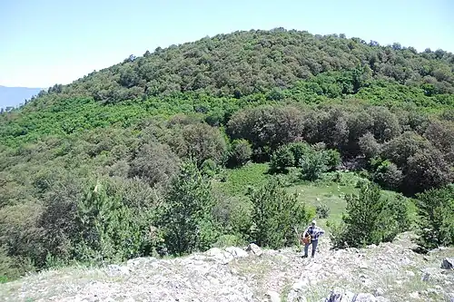 Вид с Бабуган-яйлы на г. Чамны-Бурун. Внизу - седловина и поляна Дипло