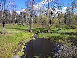 Вид с плотины на долину реки Кузьминки