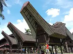 Дом тораджей (Южный Сулавеси)