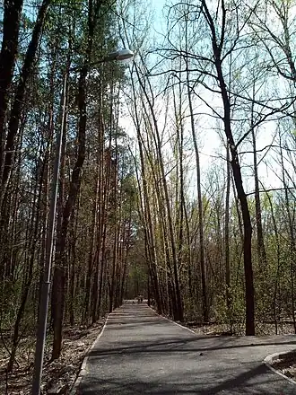 Дорожка в Непейцевском дендропарке