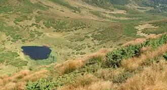 Вид на озеро летом 2011 года