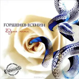 Обложка альбома Алексея Горшенёва «Душа поэта» (2012)