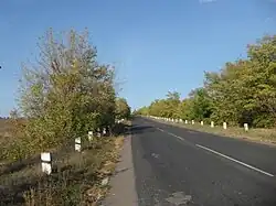 Трасса Т1605 вблизи села