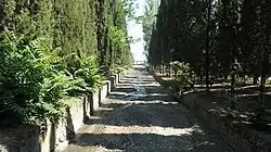 Едыфлер на территории ОЗК «Семидворье»