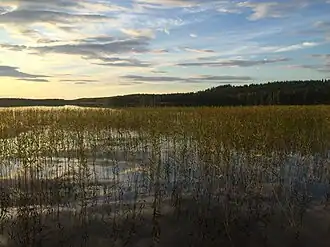 Юго-восточная оконечность Елмозера