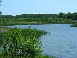 Залив у Садовки