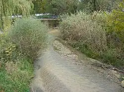 Золка в станице Зольская