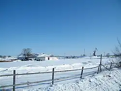 Конюшня и портальные краны, вдали виден Хабаровск