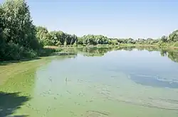 Пруд на реке в селе Каменногорка