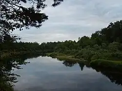 Река Колпь в районе деревни Торопово, Бабаевский район Вологодской области