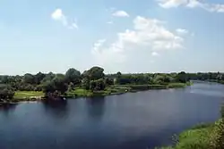 Конка у города Олешки