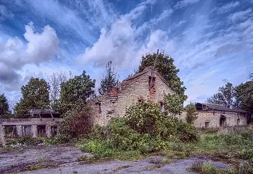 Конюшенный двор, 2018