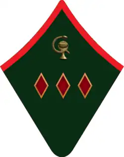 Петлица корврача для шинели.