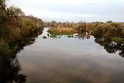 Река Тетерев