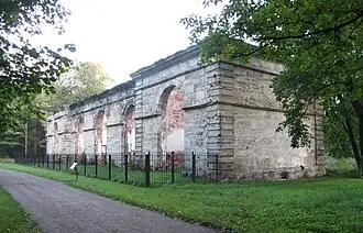 Лесная оранжерея, сентябрь 2014 года