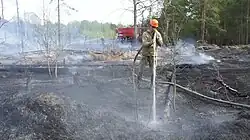 Сотрудники государственного автономного учреждения Московской области "Центрлесхоз" ликвидируют лесной пожар