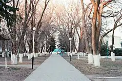 пешеходная аллея со столбами и деревьями