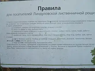 Правила поведения