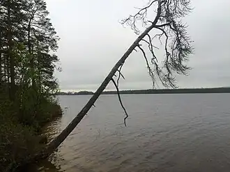 Северо-западная оконечность озера