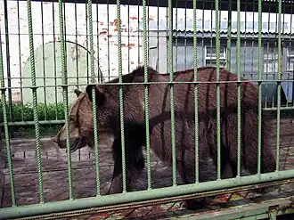 Лето 2009 года.