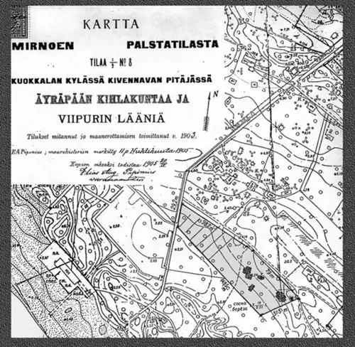 План имения «Мирное» (в левом нижнем углу спас.станция)