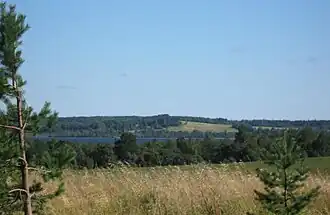 Вид на Мичуринское озеро из деревни. 2010 год