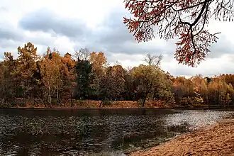 Большой Олений пруд осенью