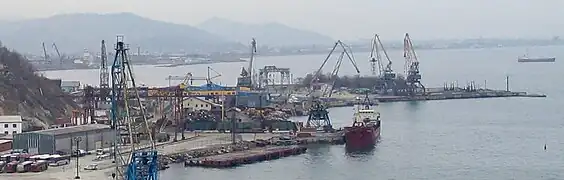 На месте острова Новицкого лесистая сопка (2006). В 2010-е годы надводная часть острова была уничтожена при сооружении площадки для перевалки угля