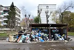 Неприглядная сторона 1-го микрорайона Горок: мусорная площадка у «еврейского магазина» (ноябрь 2018)